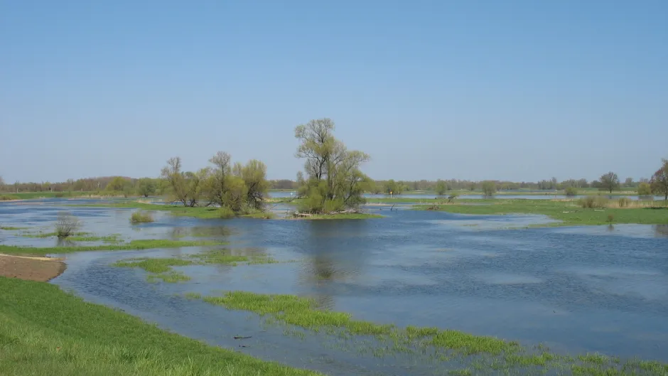 Rubrik_Naturschutz-Biodiversitaet_FlorianSchoene.JPG